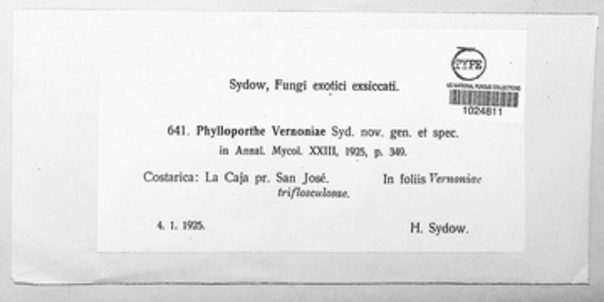 Phylloporthe image